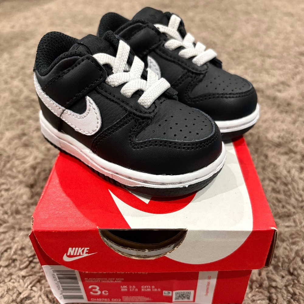 Nike Dunk Low for Baby